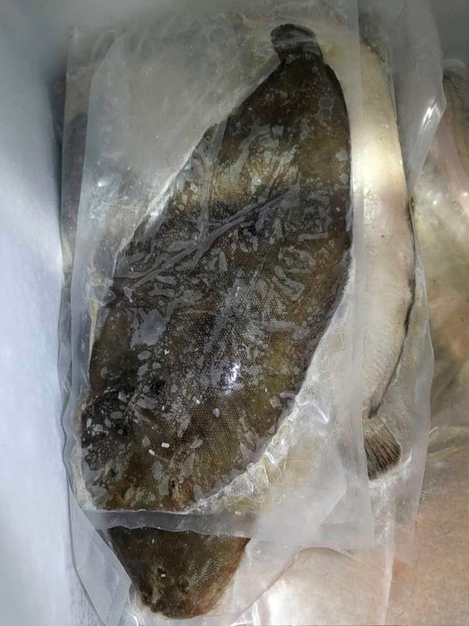 Qwehli Dover Sole 500-600g/pack (เนื้อปลาตาเดียว)