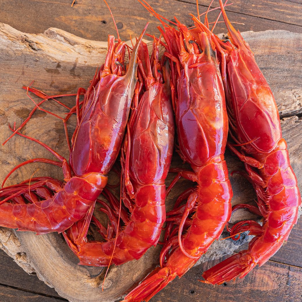 Frozen IQF Carabineros Prawns 8-10 pcs/kg Hispamare